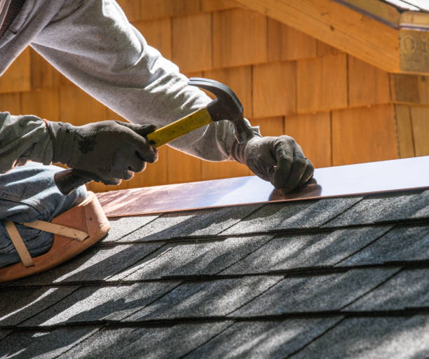 Best Roof Gutter Cleaning  in Union City, NJ